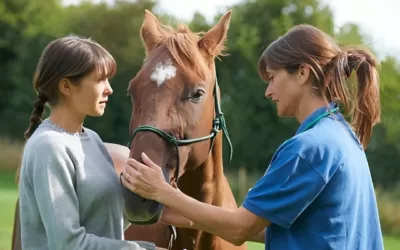 What causes gastric ulcers?
